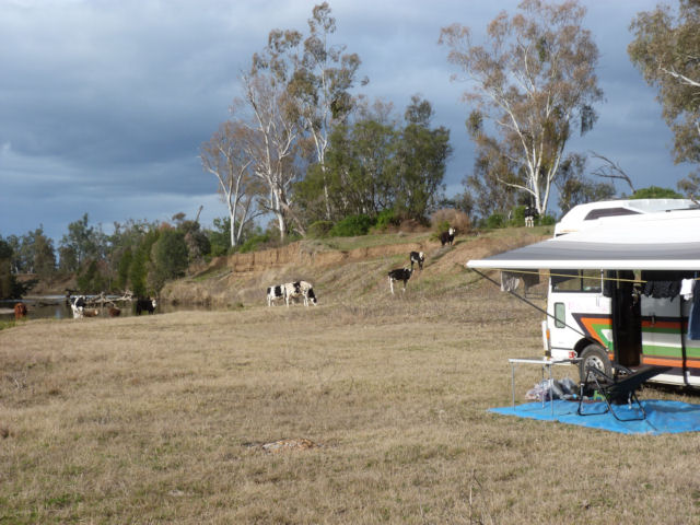 Gwydir River Camp