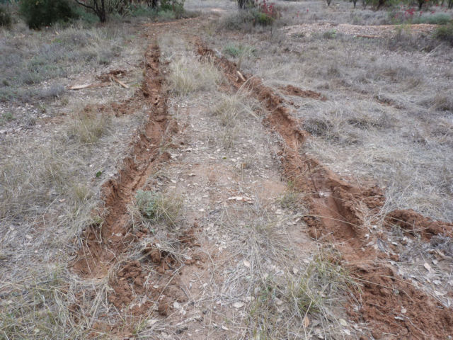 the ruts